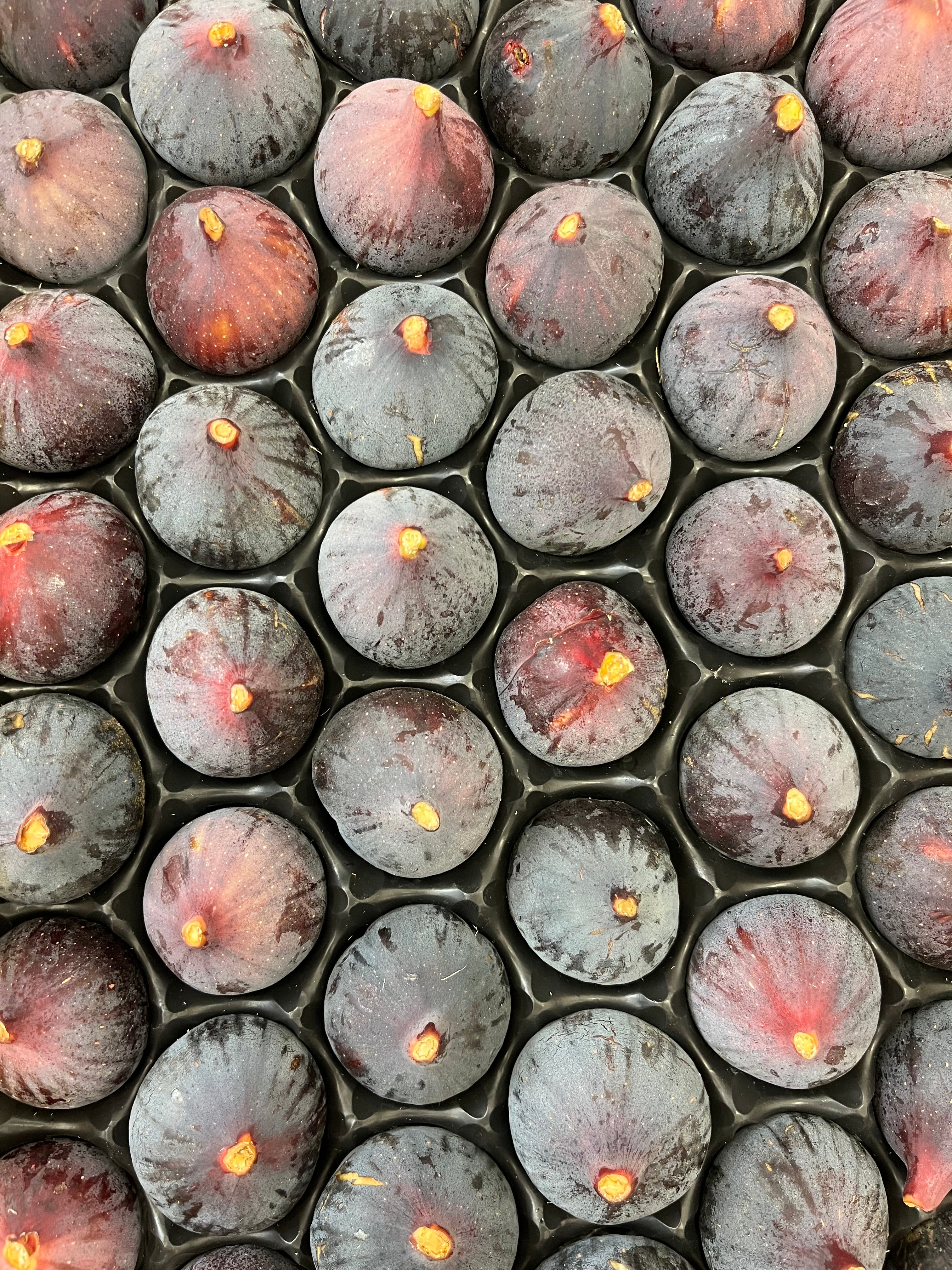Osmose Patisserie