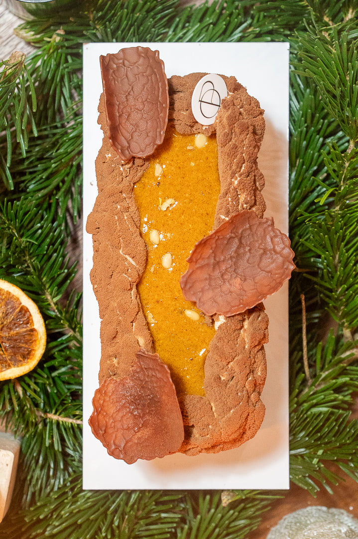 Bûche Roi des forêts